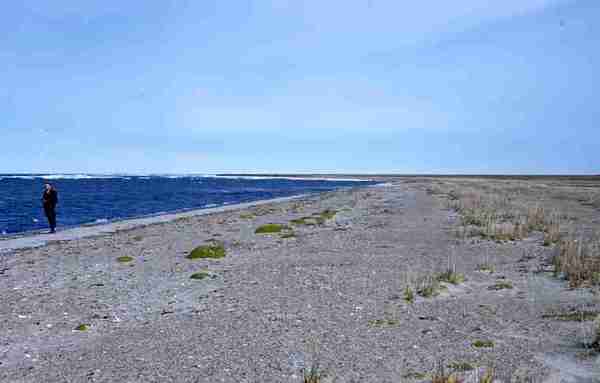 Beach Arctic Ocean - Darnley Bay
