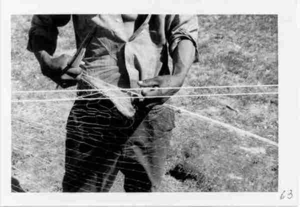 Roderick Yooya stringing fishnet, S.L. 6/71
