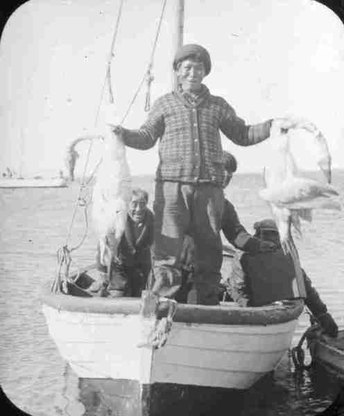 Inuk hunter with two arctic swans.