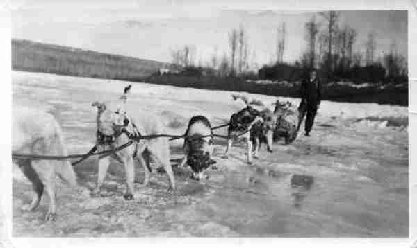 Ryan's Dog Team Leaving Fort McMurray, Alberta
