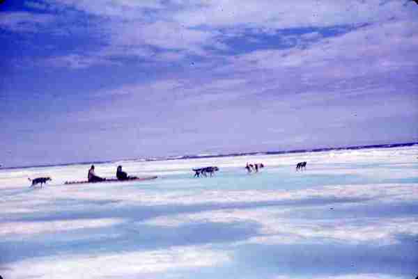 Traveling by Dog Sled